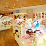 akb48websize 4